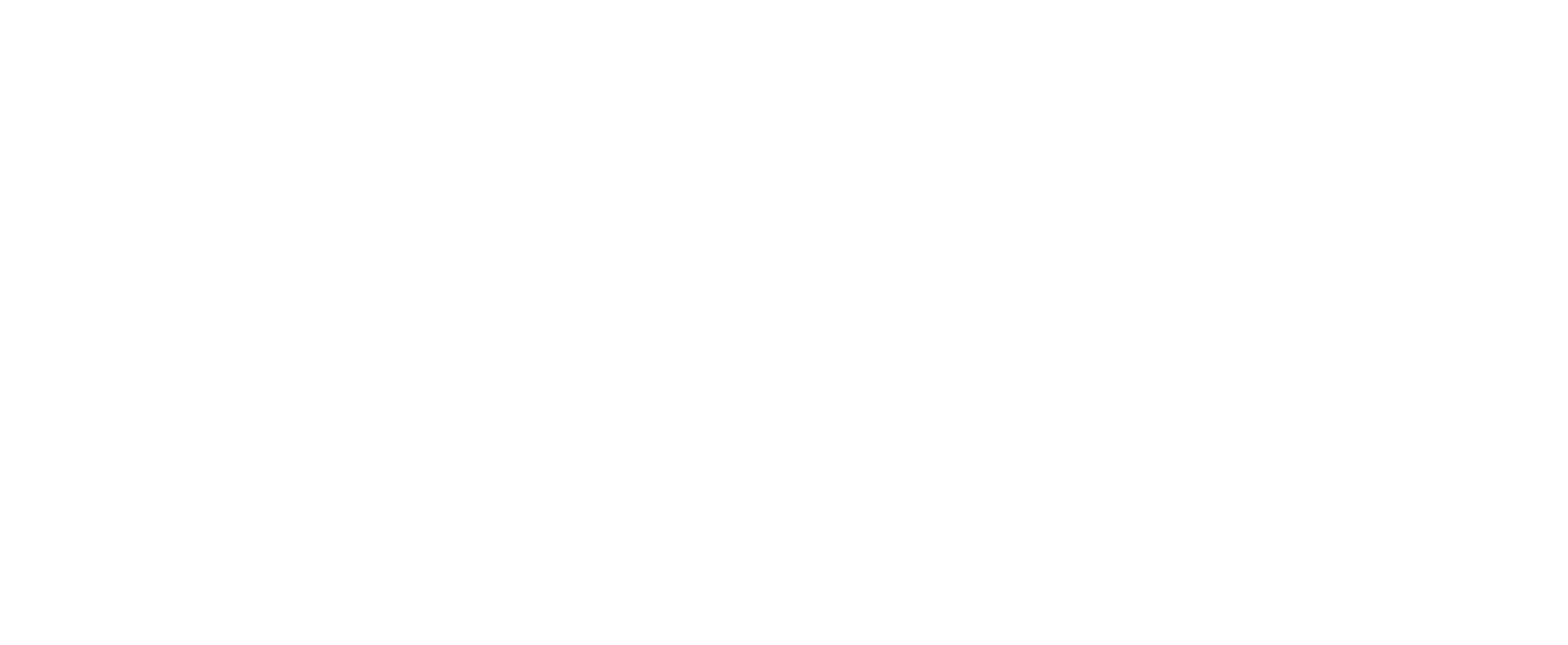 bdna logo all white (2)